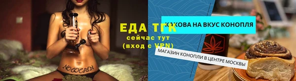 тгк Аркадак