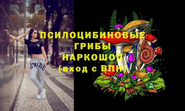 тгк Армянск