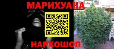 гашик Брянск