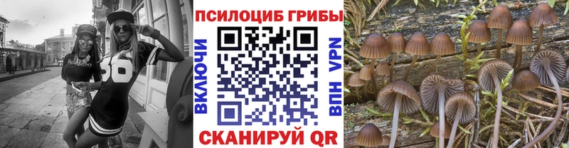 Галлюциногенные грибы Cubensis  Заинск 