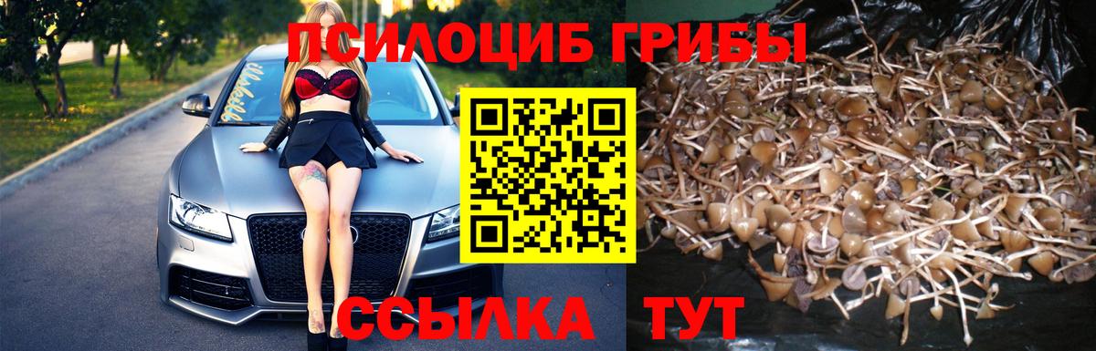 Заинск  Псилоцибиновые грибы мухоморы  Вход с VPN 