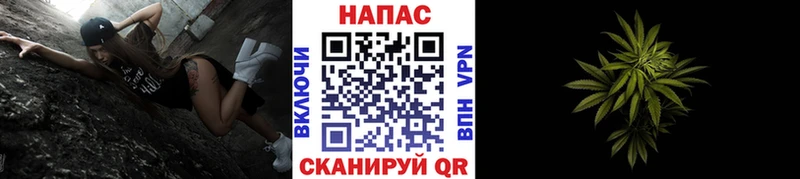 МАРИХУАНА план  Заинск 